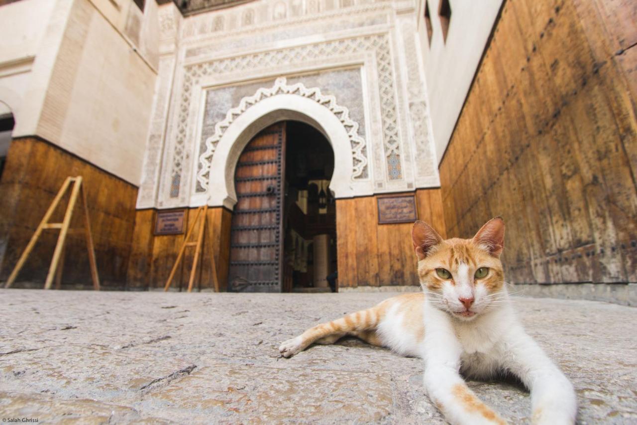 Riad Anis Fès Dış mekan fotoğraf